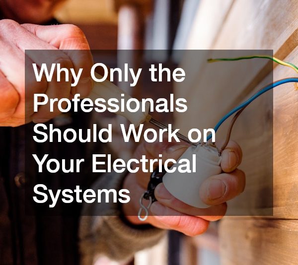 Why Only the Professionals Should Work on Your Electrical Systems