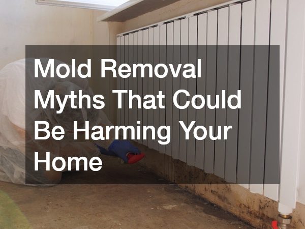 Mold Removal Myths That Could Be Harming Your Home