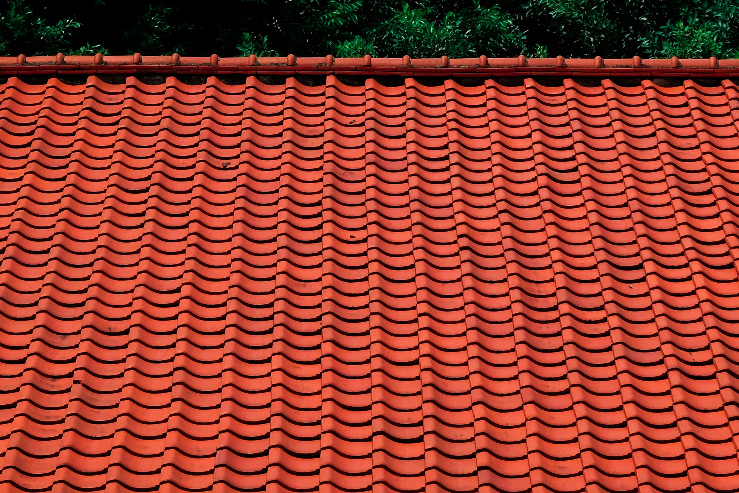 clay tile roof